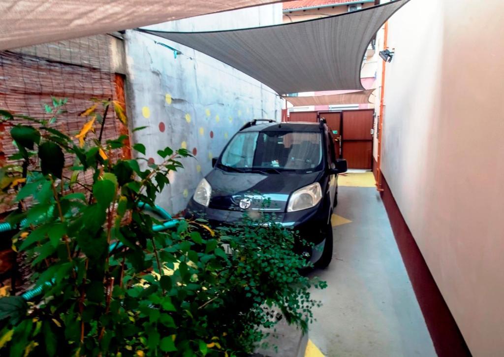 Krisztina Apartman نايغكانيشا المظهر الخارجي الصورة